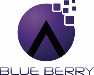 Blue Berry e-Services Private Limited
